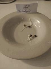 IMG 20170701 173604