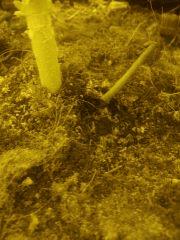 IMG 20170905 205654