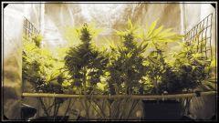 FLO +50 FERMETURE LES GARDIENS DU SCROG A