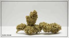 SUPER SKUNK
