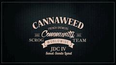 JDC IV Sensi-Seeds-LanD