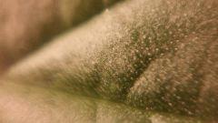 PHOTO 20160329 151440