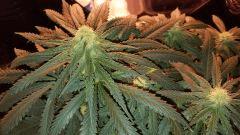 20160425 143403
