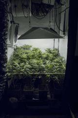 f177