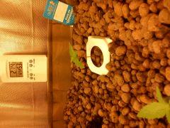 IMG 20101205 194657