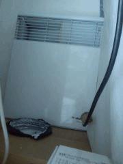 Radiateur + thermostat