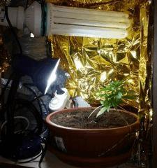 Growbox2