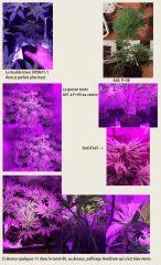 F44