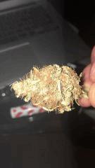 Bubba kush