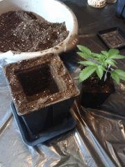 CH#4