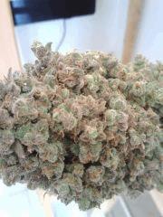 Apex Bubble #2