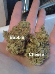 Bubble gum #2 vs. Triple Cheese #2