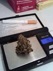 T. Cheese 5