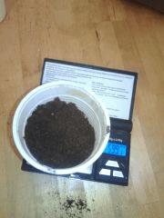 Guano Diff' classic