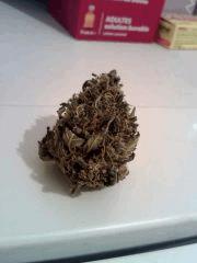 Triple Cheese 5 (2)