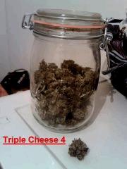 Triple Cheese 4 (3)