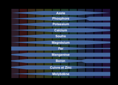 PH 01