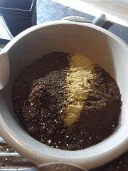 Lightmix + Cocomix + Lombircompost + Alguamycor + Guano
