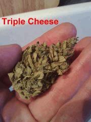 Triple Cheese #2