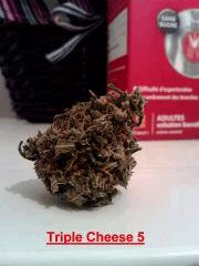 Triple Cheese 5