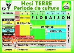 HESI