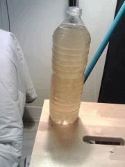Décoction d'ail