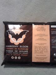 Guano diff' bloom