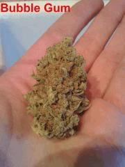 Bubble gum #2