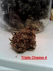 Triple Cheese 4