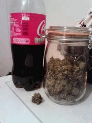 Triple Cheese 4 (2)