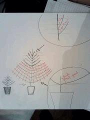 Le dessin :)