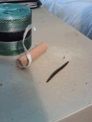 Hash "frottage de doigts" Bubble #2