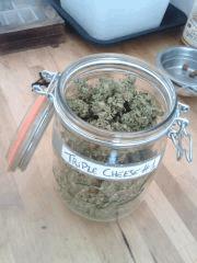 Triple Cheese #1
