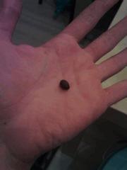 Hash "frottage de doigts" Bubble #1
