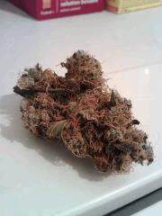 OG Kush
