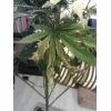 IMG 20160311 152831