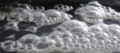 Culture Organique# Sérum de Lactobacilles (LAB) 3