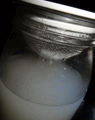 Culture Organique# Sérum de Lactobacilles (LAB) 9