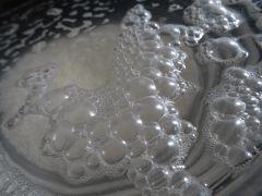 Culture Organique# Sérum de Lactobacilles (LAB) 5