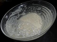 Culture Organique# Sérum de Lactobacilles (LAB) 2