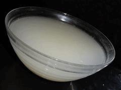 Culture Organique# Sérum de Lactobacilles (LAB) 6