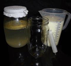 Culture Organique# Sérum de Lactobacilles (LAB) 17