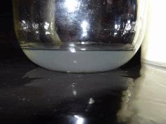 Culture Organique# Sérum de Lactobacilles (LAB) 19