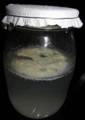 Culture Organique# Sérum de Lactobacilles (LAB) 11