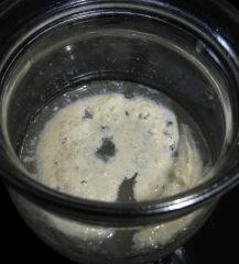 Culture Organique# Sérum de Lactobacilles (LAB) 12