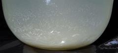 Culture Organique# Sérum de Lactobacilles (LAB) 16