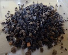 Champignons bénéfiques Et Endos Mycorhiziens