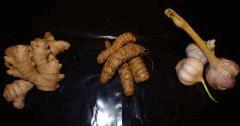 Culture Organique# Fermented Plant Extract (FPE) 1.jpg