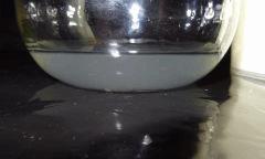 Culture Organique# Sérum de lactobacille W - copie.jpg