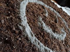Culture Organique# Light Mix & Coco + Mix de floraison 3.jpg